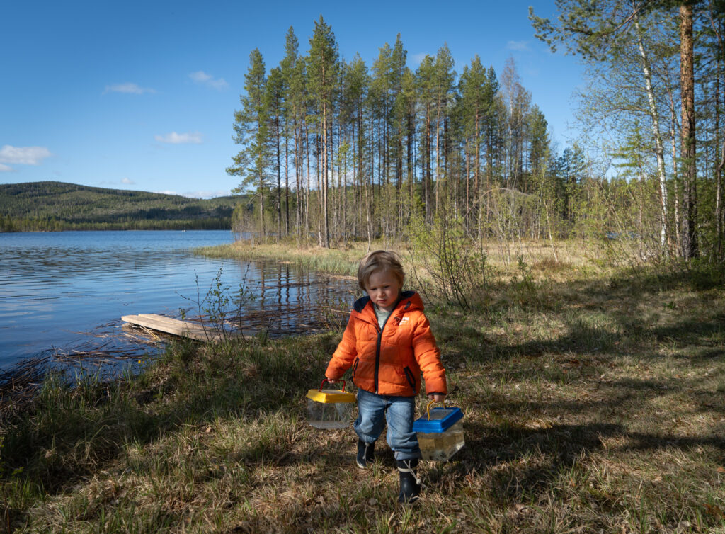 In de natuur van Zweden kikkers vangen. Kinderactiviteit gezinsweek Friluft Sweden
